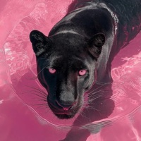 Make Em Lose Control (feat. I-20 BABY) - Single - Blacc Angel