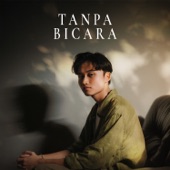 Tanpa Bicara artwork