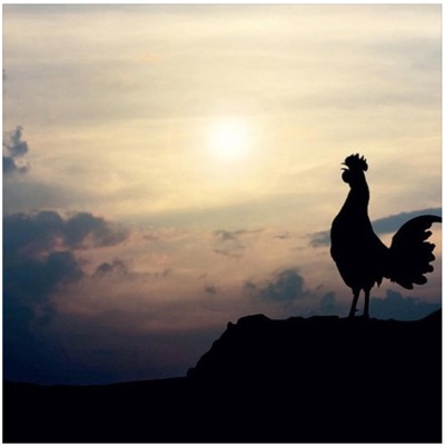 Early Mornin' Trappin' - Single