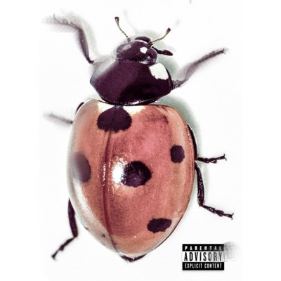 LOVEBUG - Single