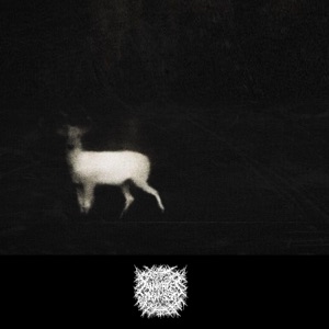 'Til I Met You - Single