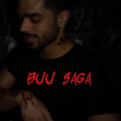Buu Saga Pt. 2