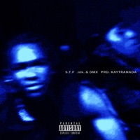 START TO FiNiSH - S.T.F - Single - IDK & DMX
