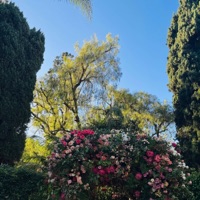 Seasons (feat. CapzLock) - Single - Statma