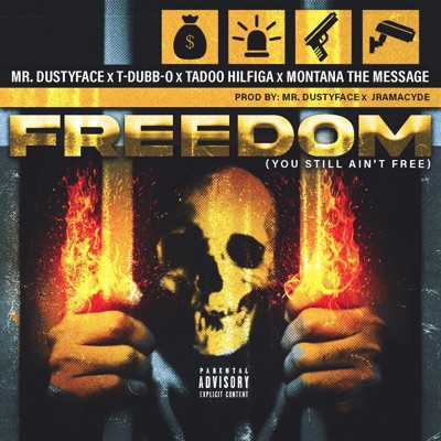 Freedom (You Still Ain't Free) (feat. T-Dubb-O, Tadoo Hilfiga & Montana The Message) - Single