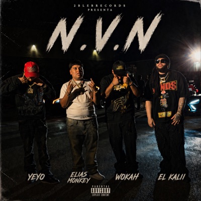 N.V.N - Single