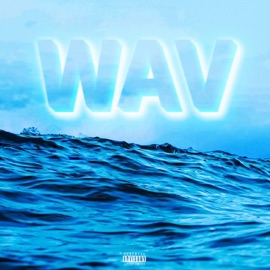Wav (feat. AM.Wav) Mr. Confidential