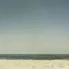 Camomila