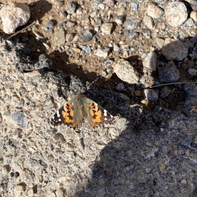 wake up! (feat. RIZZUC) - Single