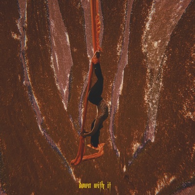 DOWN WITH IT - Single