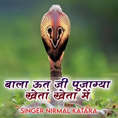 Bala Ut Ji Pujagya Kheta Kheta Me - Single