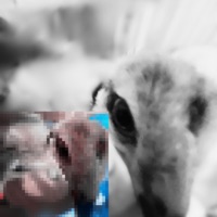 move (feat. mayh3mp) - Single - @ust1n