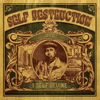 Self Destruction - I Self Devine