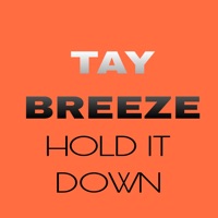 HOLD IT DOWN - Single - Rich Millz