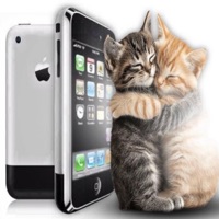 do u notice me - Single - susan7