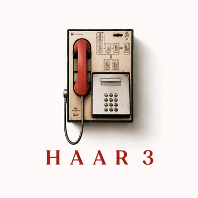 Ascolta 'Haar 3 - Single' di Sani & Anjoh