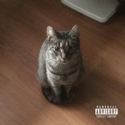 Poes - Single