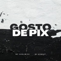 Gosto de Pix - Single - MC SaulinCH, NV no Beat & Distrito Do Melt