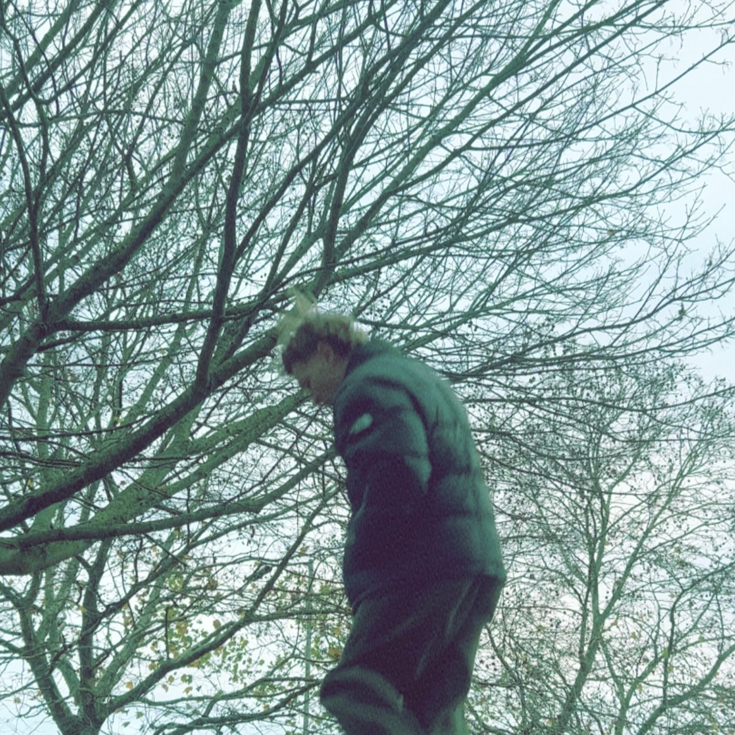 The Crow That Followed Me Home - EP