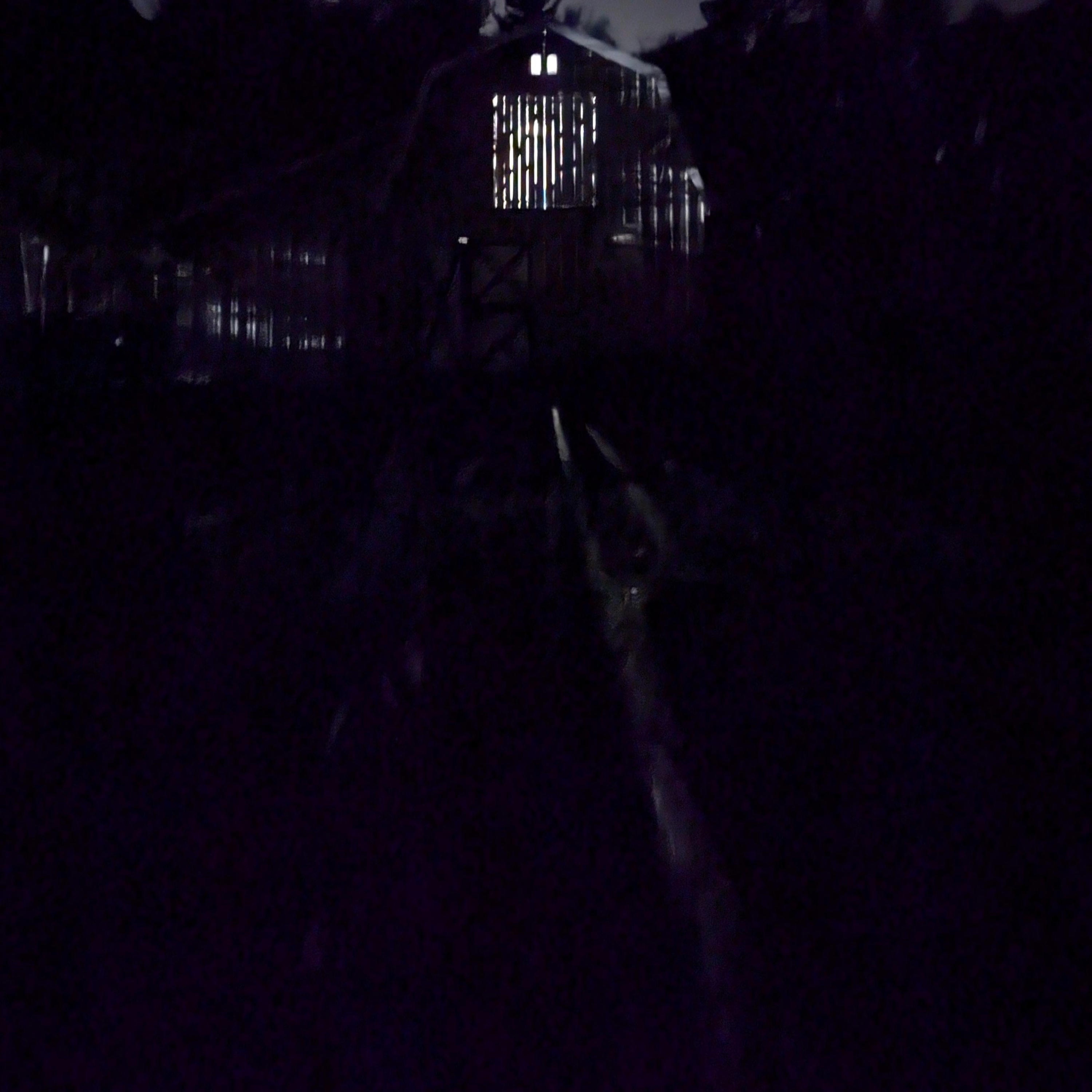 Goes to Show - Single