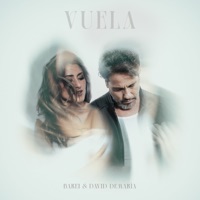 Vuela (feat. David DeMaría) - Single - Barei