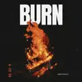 Burn