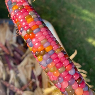 a life that has frequent inspiration - Single