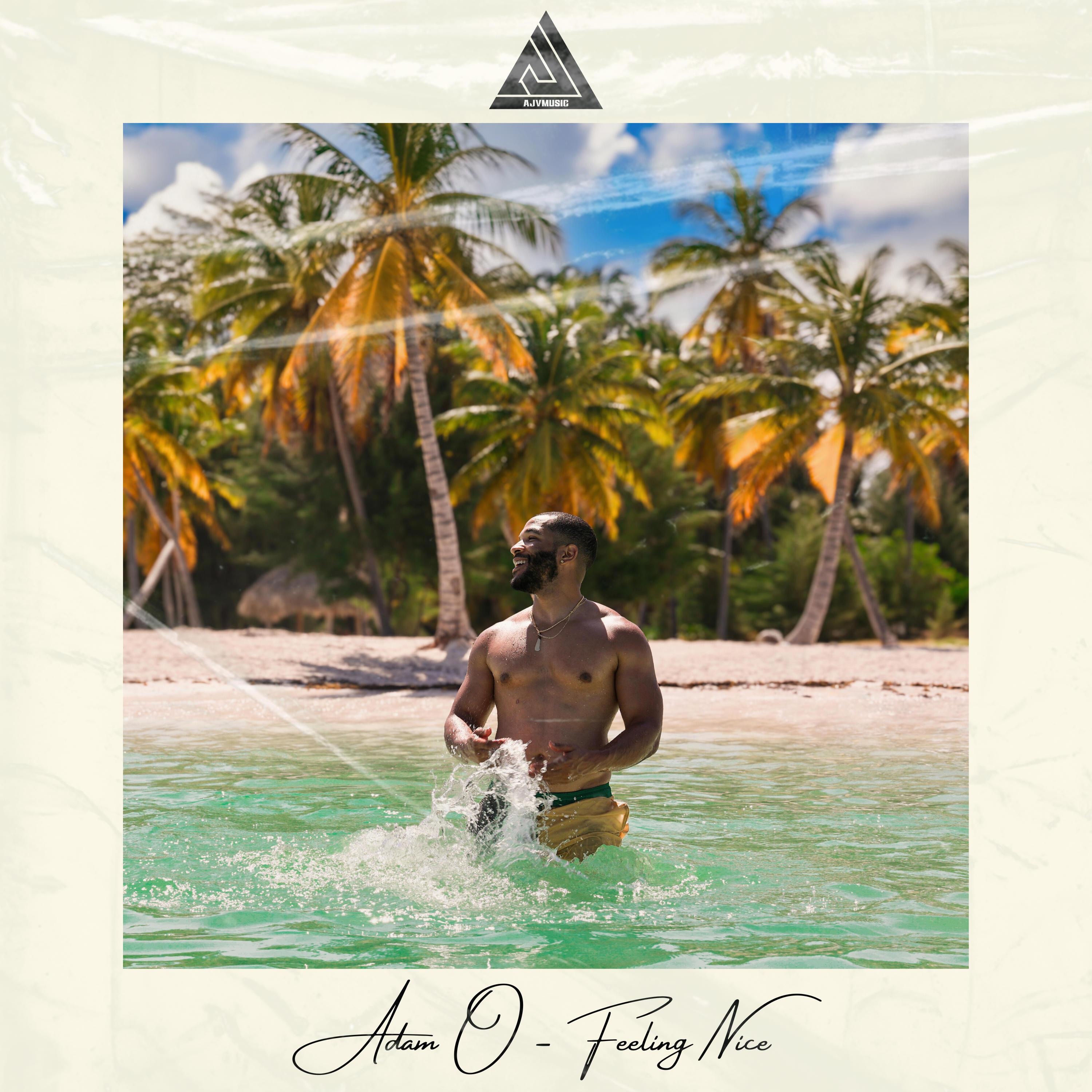 Feeling Nice - Single