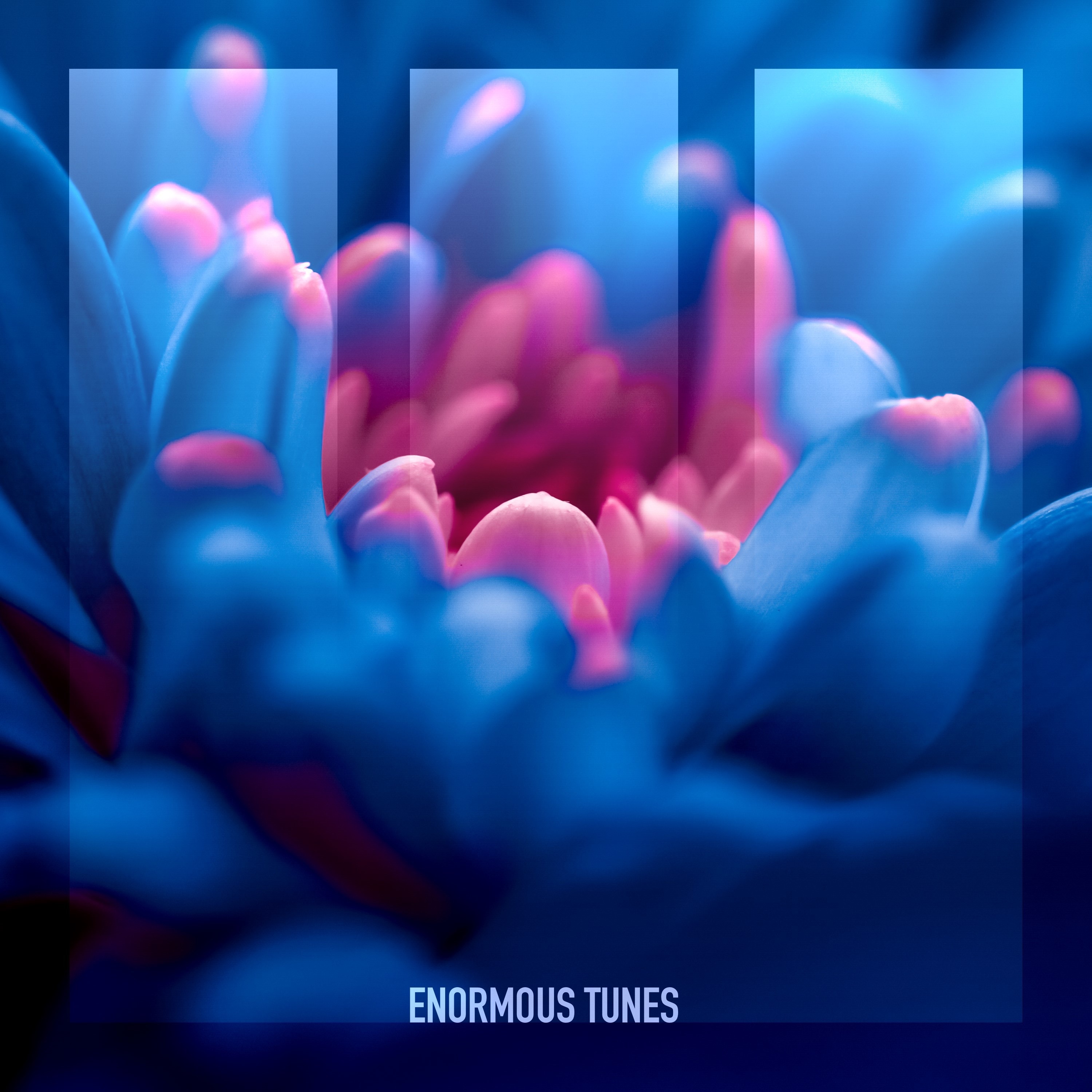 Own the Night - Single