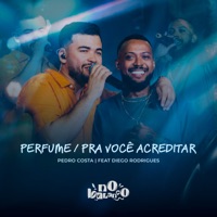 Perfume / Pra Você Acreditar (Ao Vivo) [feat. Diego Rodrigues] - Single - Pedro Costa