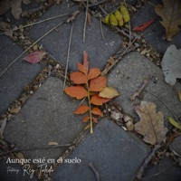 Aunque esté en el suelo - Single - Tauro