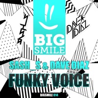 Funky Voice - Single - Sash_S & Dave Diaz