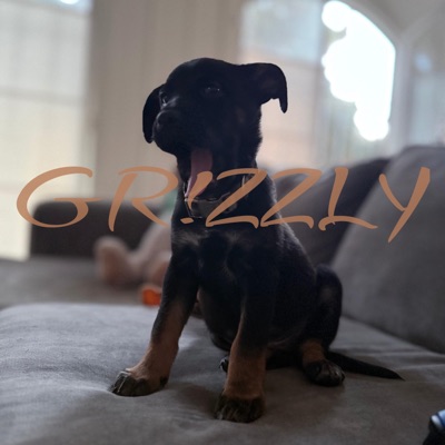 GR!ZZLY - Single