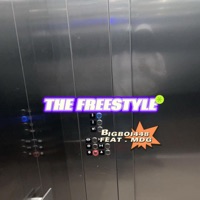 Freestyle - Single - Bigboi448