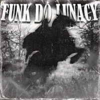 Funk do Lunacy - EP - MATORO