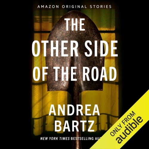 The Other Side of the Road: Never Tell Collection (Unabridged) cover