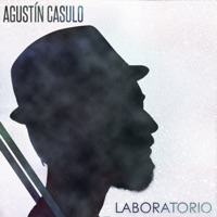 Laboratorio - Agustin Casulo