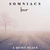 A Quiet Place - Single - Somniacs & bzur
