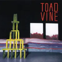 Pontoon Boat — Toadvine