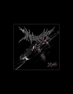 收听 Xteage、观看音乐视频、阅读小传、查看巡演日期等 ！