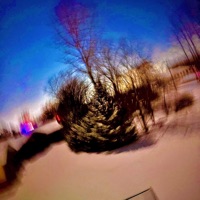 see it through - Single - Tree J