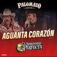 Aguanta Corazón (En Vivo) - Single - PALOMAZO NORTEÑO