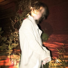 Scarlet Sun jacy nyte