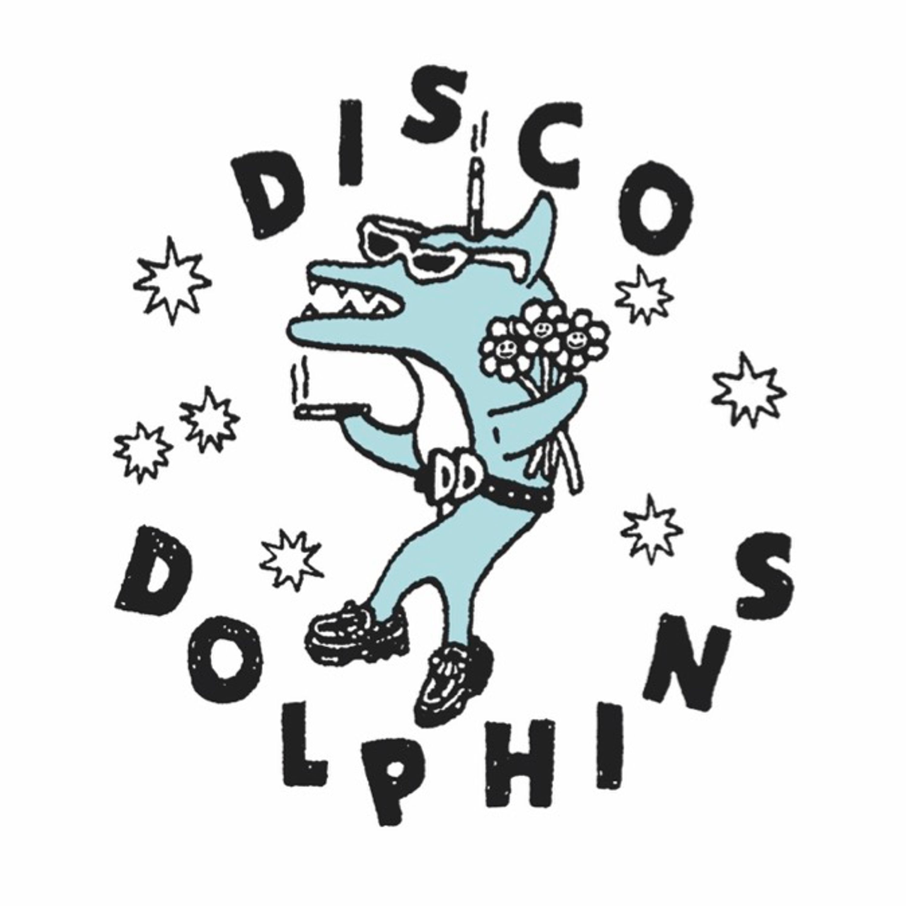 Disco Dolphins