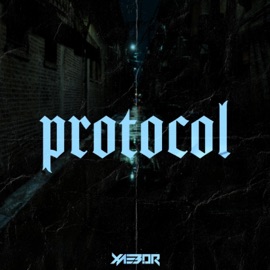 PROTOCOL XaeboR