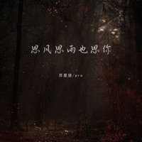 思风思雨也思你 - Single - Xingjie Su & PRO