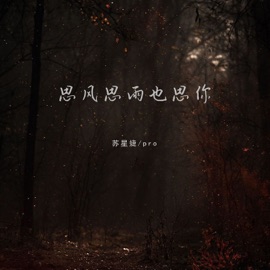 思风思雨也思你 (伴奏) Xingjie Su & PRO