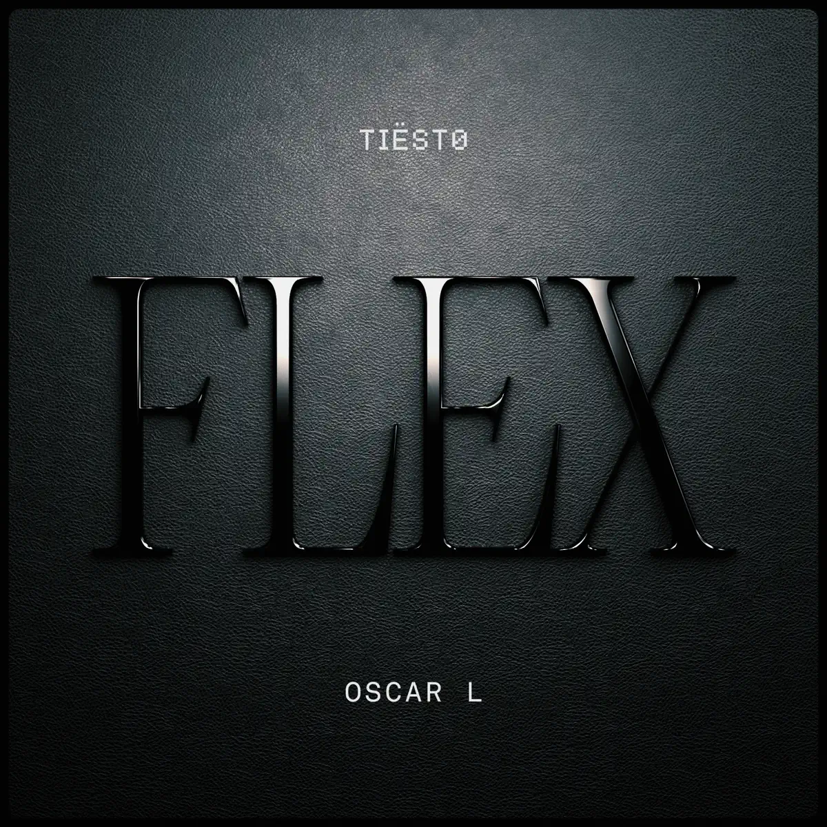 Tiësto & Oscar L - Flex - Single (2025) [iTunes Plus AAC M4A]-新房子