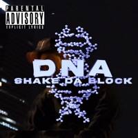 DNA - Single - Shake Da Block