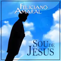 Teu Piloto Ainda Sou Eu — Feliciano Amaral